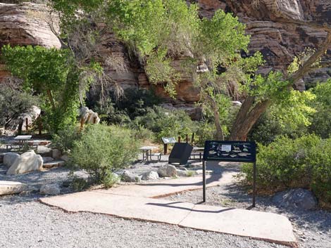 Willow Springs Picnic Area