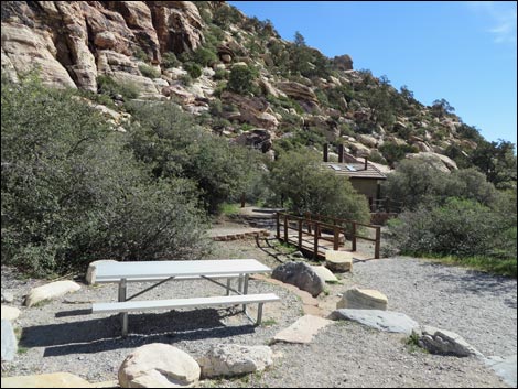 Willow Springs Picnic Area