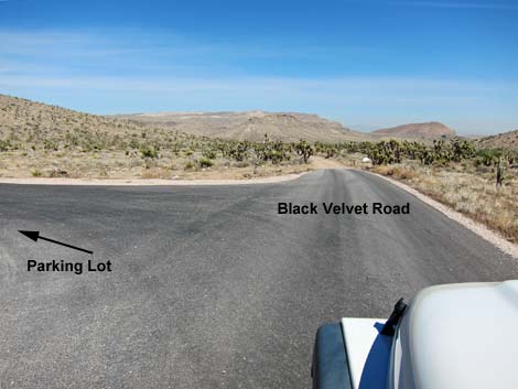 Black Velvet Road