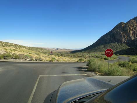 Willow Springs Road