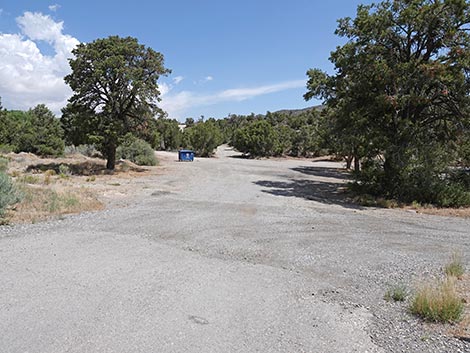 Mountain Springs Trailhead