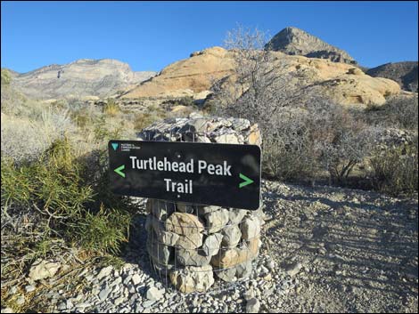 Turtlehead Peak