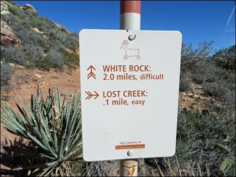 white rock loop