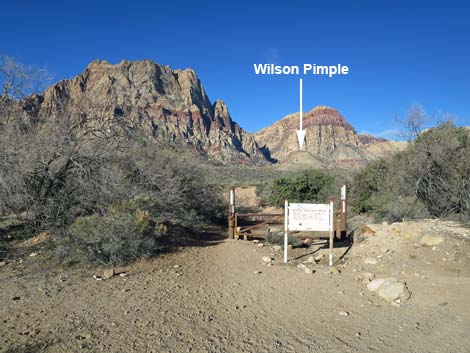 Wilson's Pimple Peak Trail