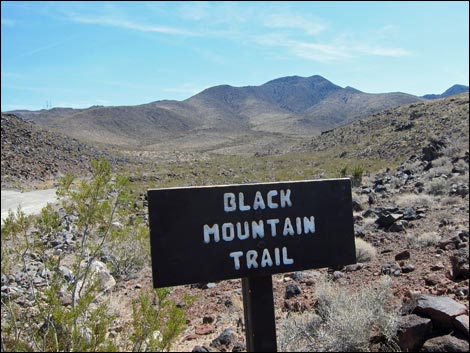 BLM 404 Trail