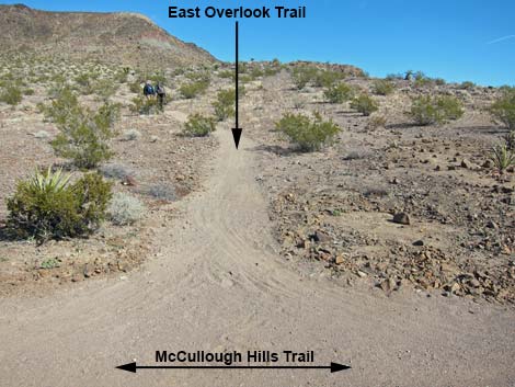 McCullough Hills Trail