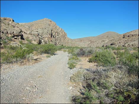 Arrow Canyon Access Road