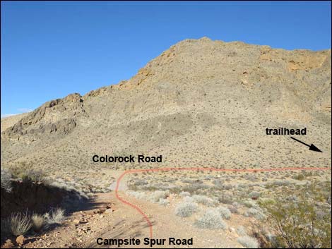 Colorock Canyon Loop