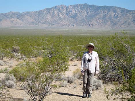 Liz at Mojave National Preserve