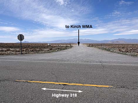 Highway 318