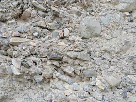 Conglomerate Rocks