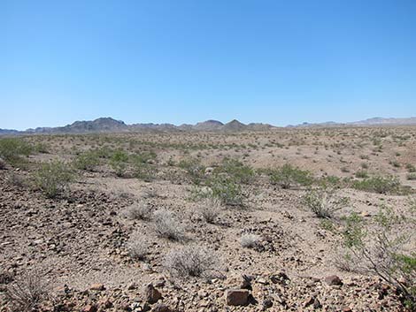 Nellis Wash Wilderness Area