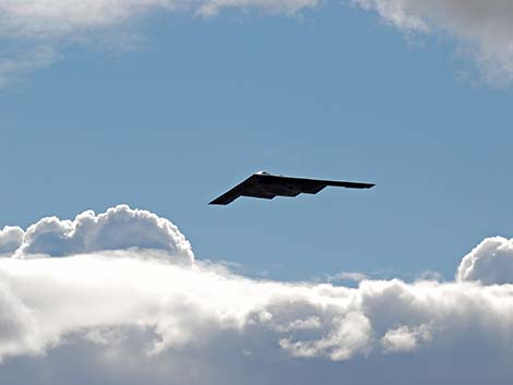 B-2 Spirit (Stealth) Bomber