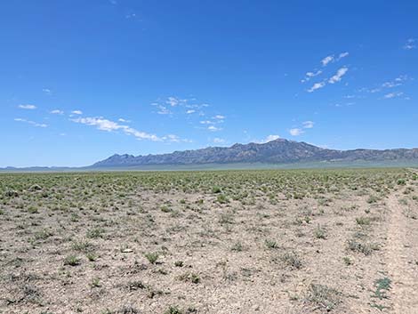 Basin and Range National Monument