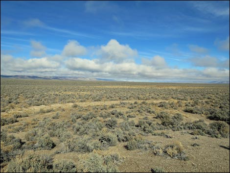 Basin and Range National Monument