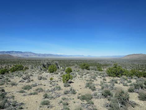 Basin and Range National Monument