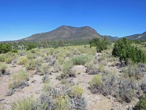 Basin and Range National Monument