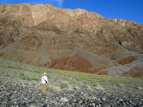 Death Valley National Park