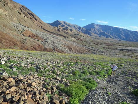 Death Valley National Park