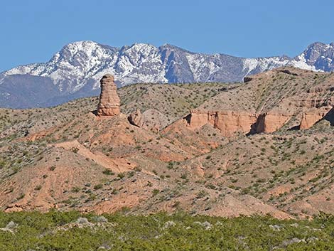 Gold Butte National Monument