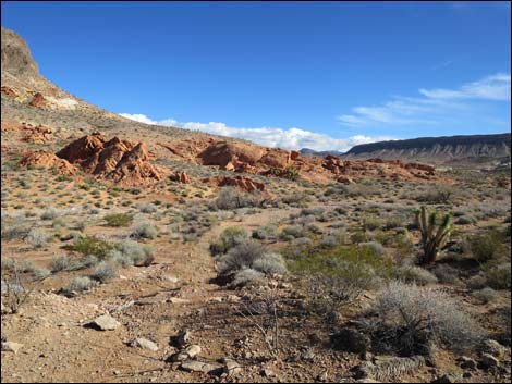 Gold Butte