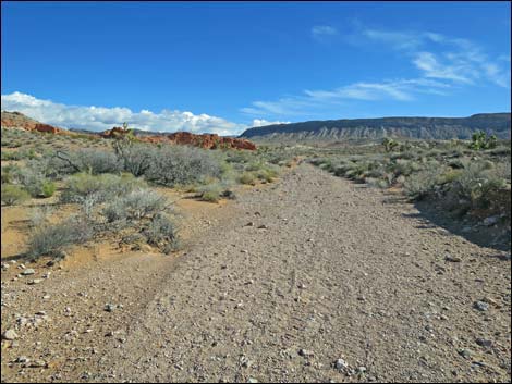 Gold Butte