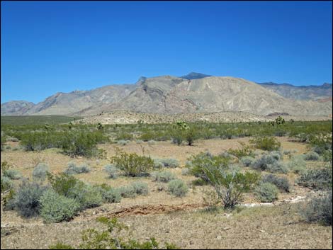 Gold Butte