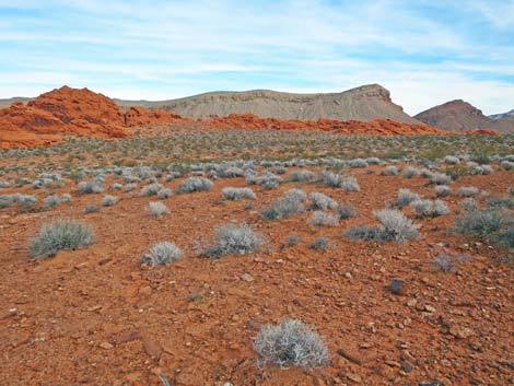 Gold Butte National Monument