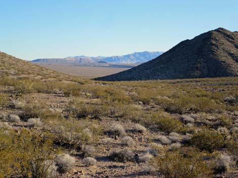 Gold Butte National Monument