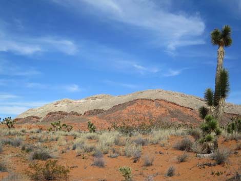 Gold Butte National Monument