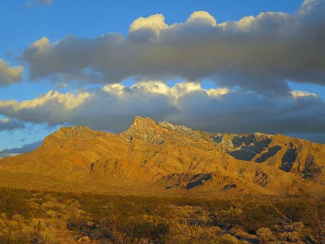 Gold Butte National Monument