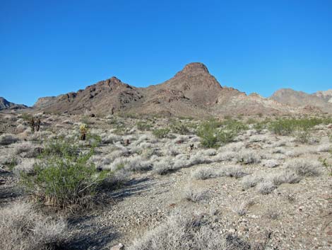 Lake Mead National Recreation Area