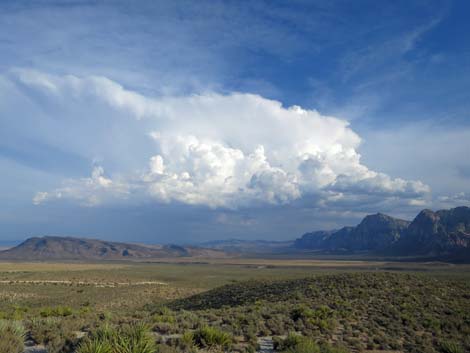 Red Rock Canyon National Conservation Area