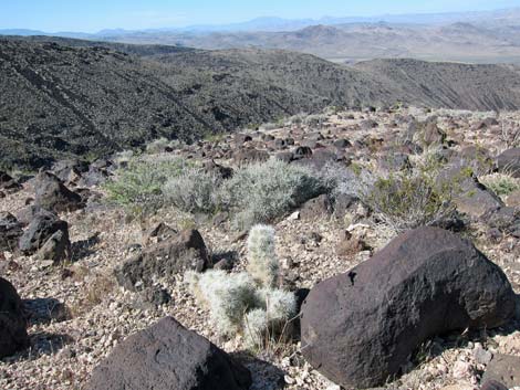 Sloan Canyon National Conservation Area