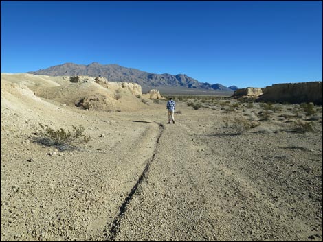 Tule Springs Fossil Beds National Monument