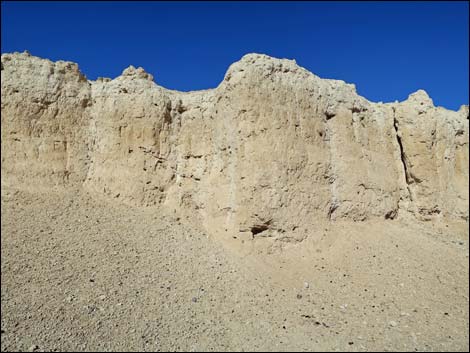 Tule Springs National Monument