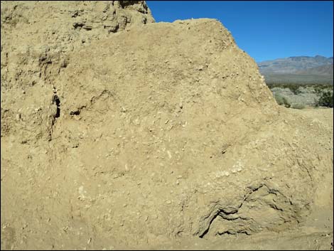 Tule Springs National Monument