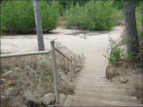 Hassayampa River Preserve