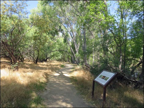 Hassayampa River Preserve