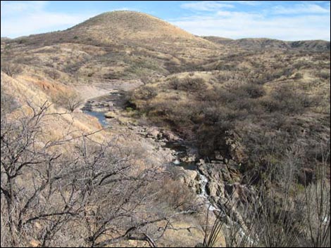 Sonoita Creek Natural Area