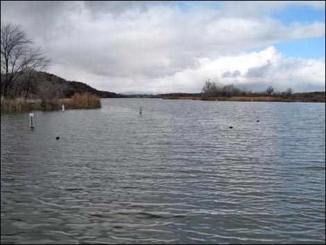 Patagonia Lake