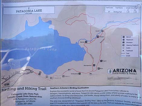 Patagonia Lake Birding Trail