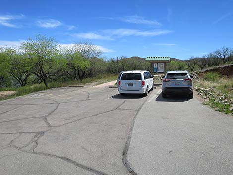 Patagonia Lake Birding Trail