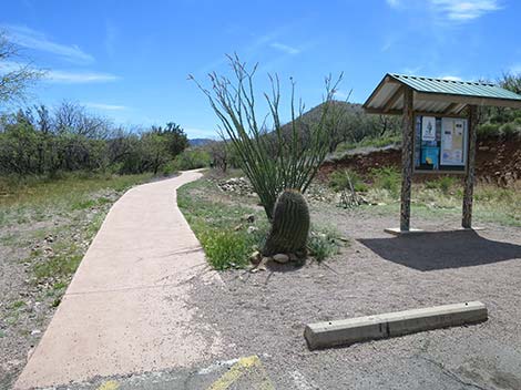Patagonia Lake Birding Trail
