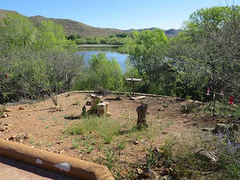 Patagonia Lake Birding Trail