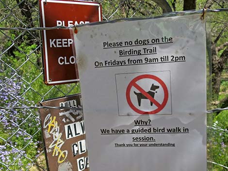 Patagonia Lake Birding Trail