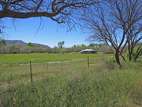 Patagonia-Sonoita Creek Preserve