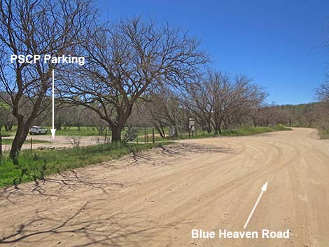 Patagonia-Sonoita Creek Preserve