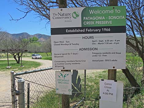 Patagonia-Sonoita Creek Preserve