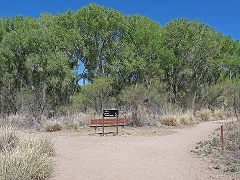 San Pedro Riparian NCA